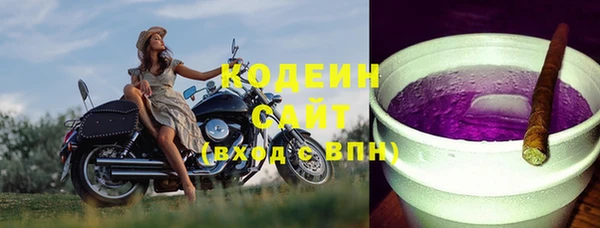 эйфоретик Алзамай