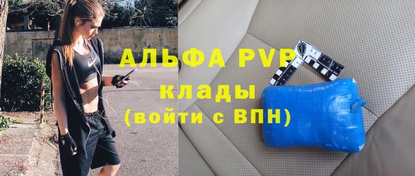 эйфоретик Алзамай