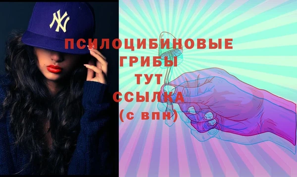 дмт Надым